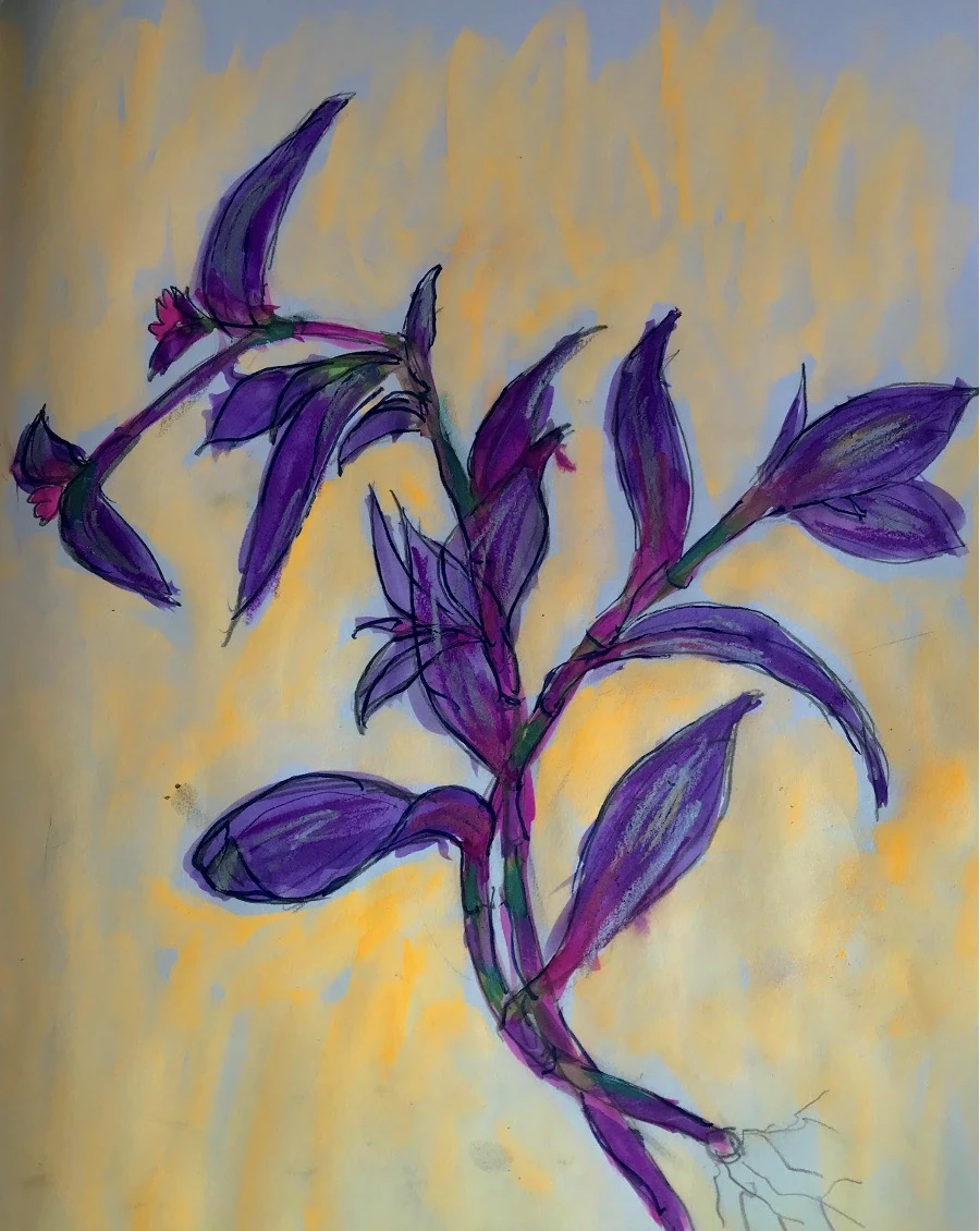 My Purple heart